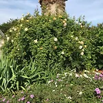 La Passiflore 4* Ла-Лонд-ле-Мор