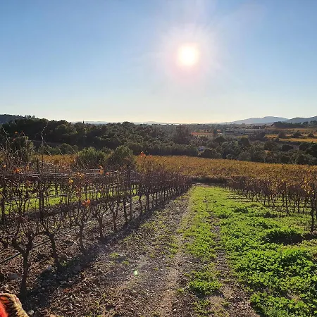 La Passiflore La Londe-les-Maures