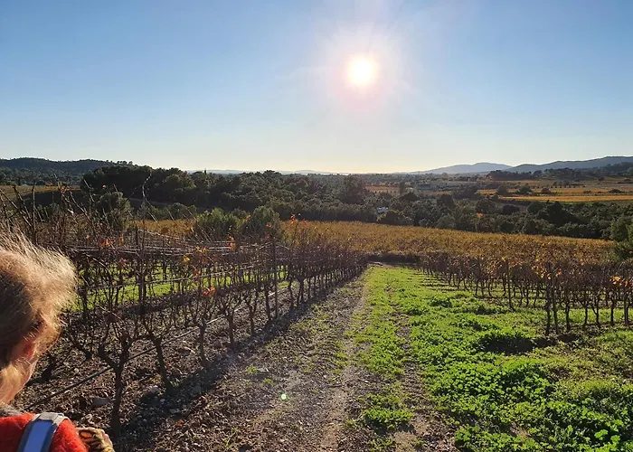 La Passiflore La Londe-les-Maures