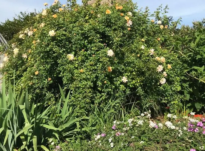 La Passiflore 4* La Londe-les-Maures