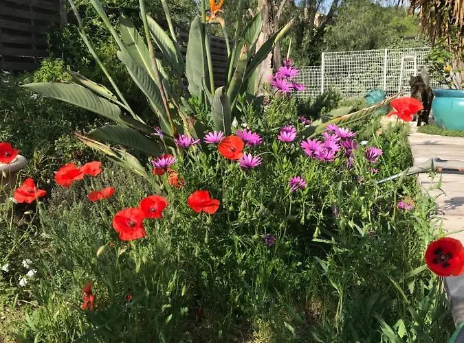 La Passiflore Bed and Breakfast La Londe-les-Maures