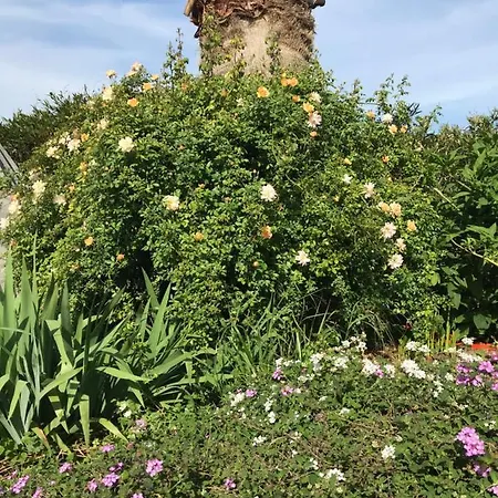 La Passiflore 4* לה-לונד-לה-מורה