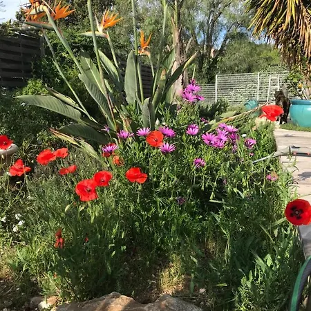 La Passiflore לינה וארוחת בוקר לה-לונד-לה-מורה